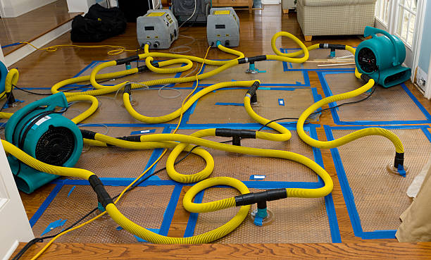 Professional Crawl Space Water Removal technician working in Swanquarter, NC